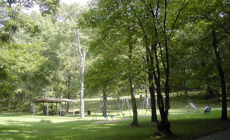 A Small Playground Area Surrounded by Tall Trees at Kent Park